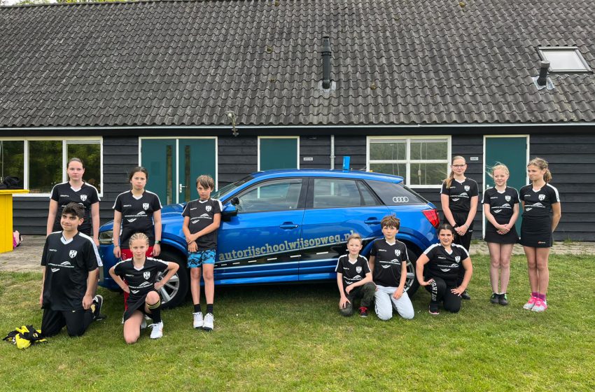  Inschietshirts voor D1