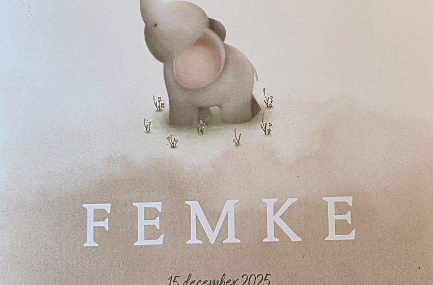  Uitbreiding in de familie Planting